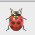 btn_debug.jpg btn_debug.jpg