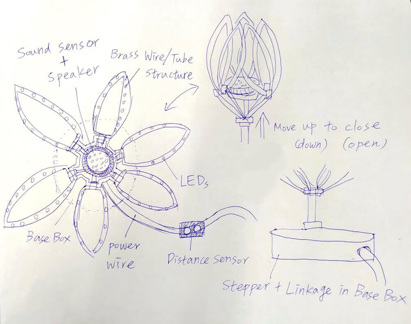 flower-sketch.jpg